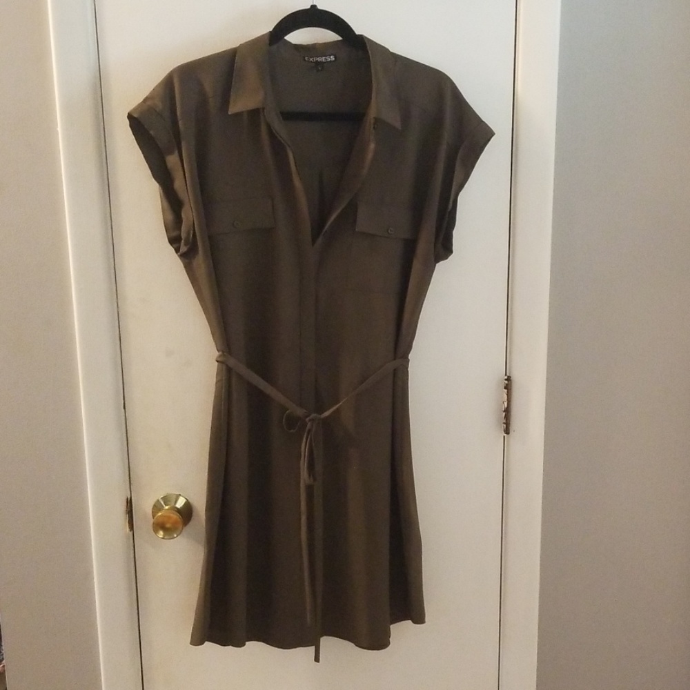 Express Forrest Green Button up Portofina Dress